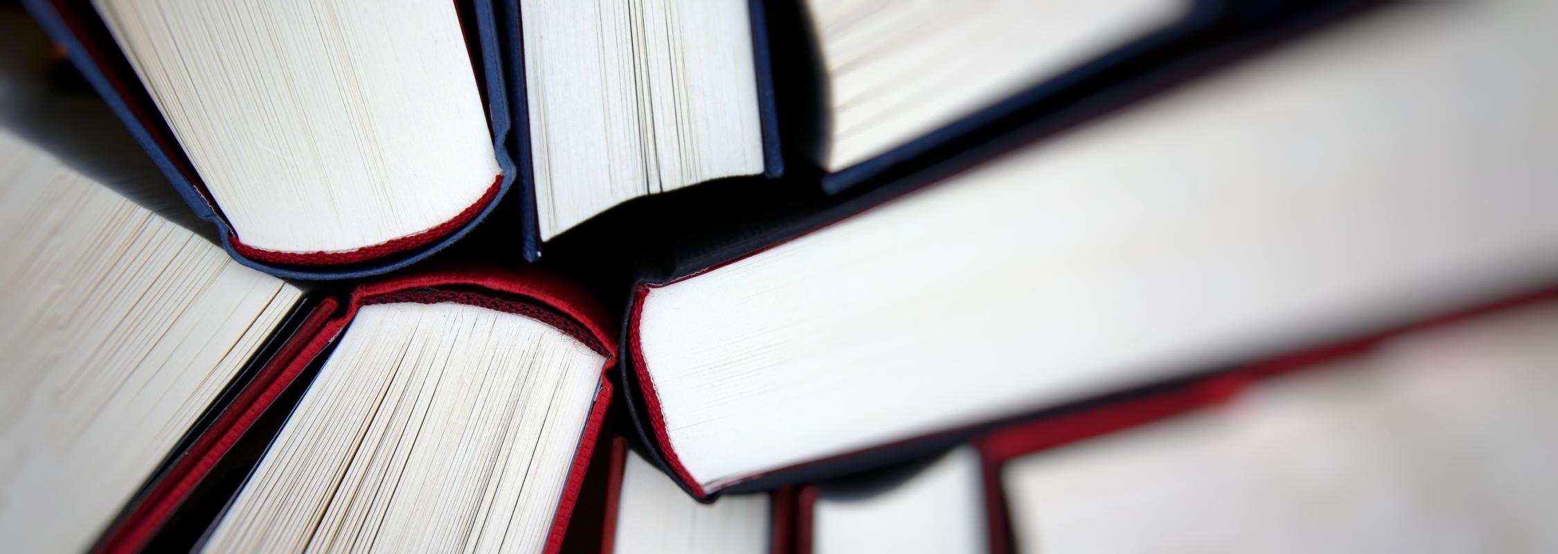 Consultazione in sede